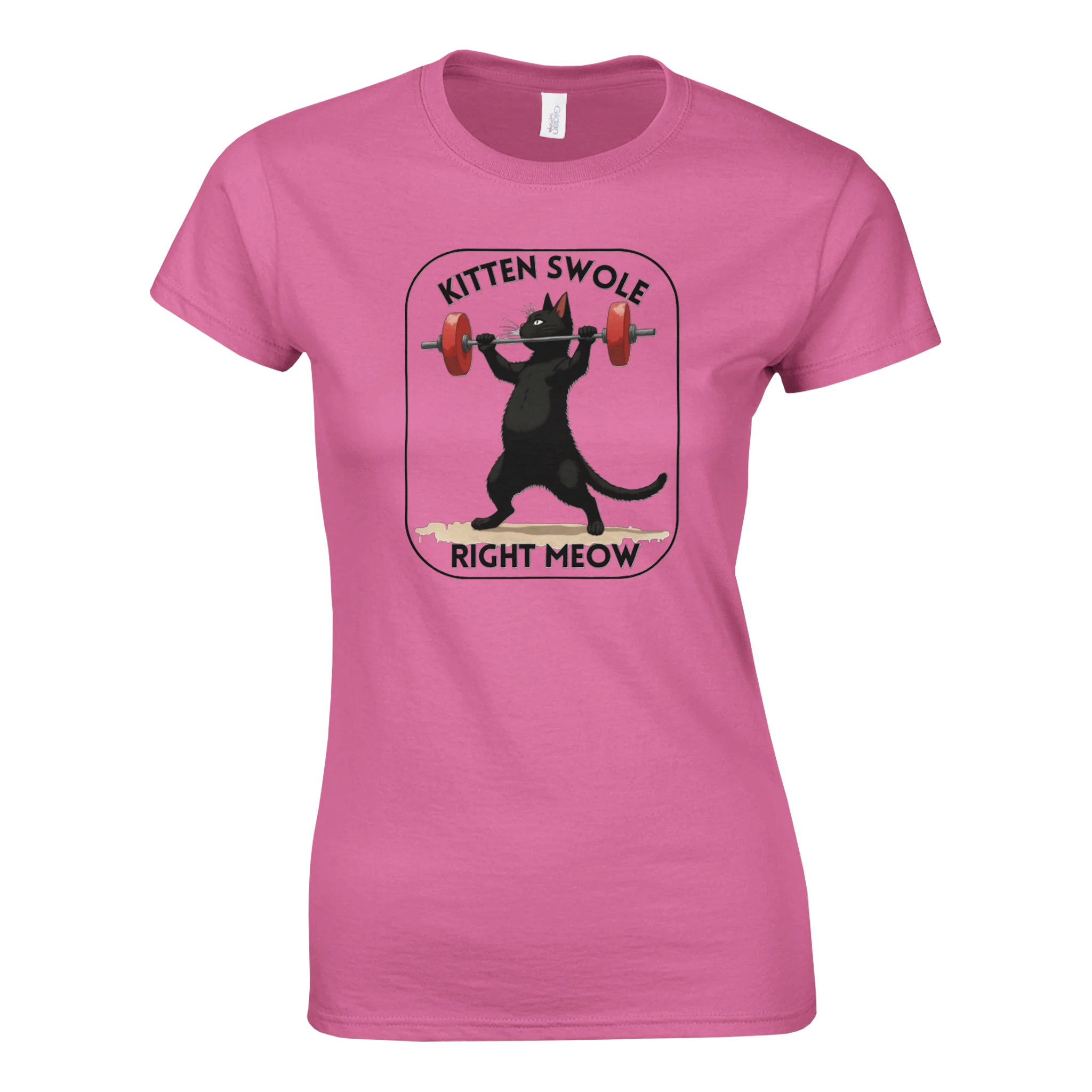 880fd56b-446e-46d5-97c6-33603ca8488e